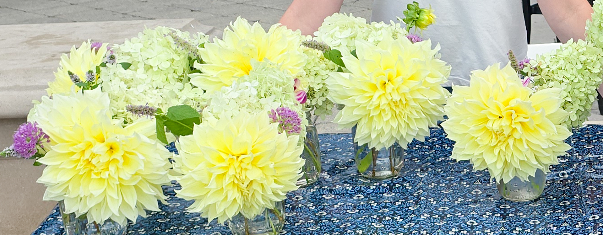 Yellow dahlias in mason jars