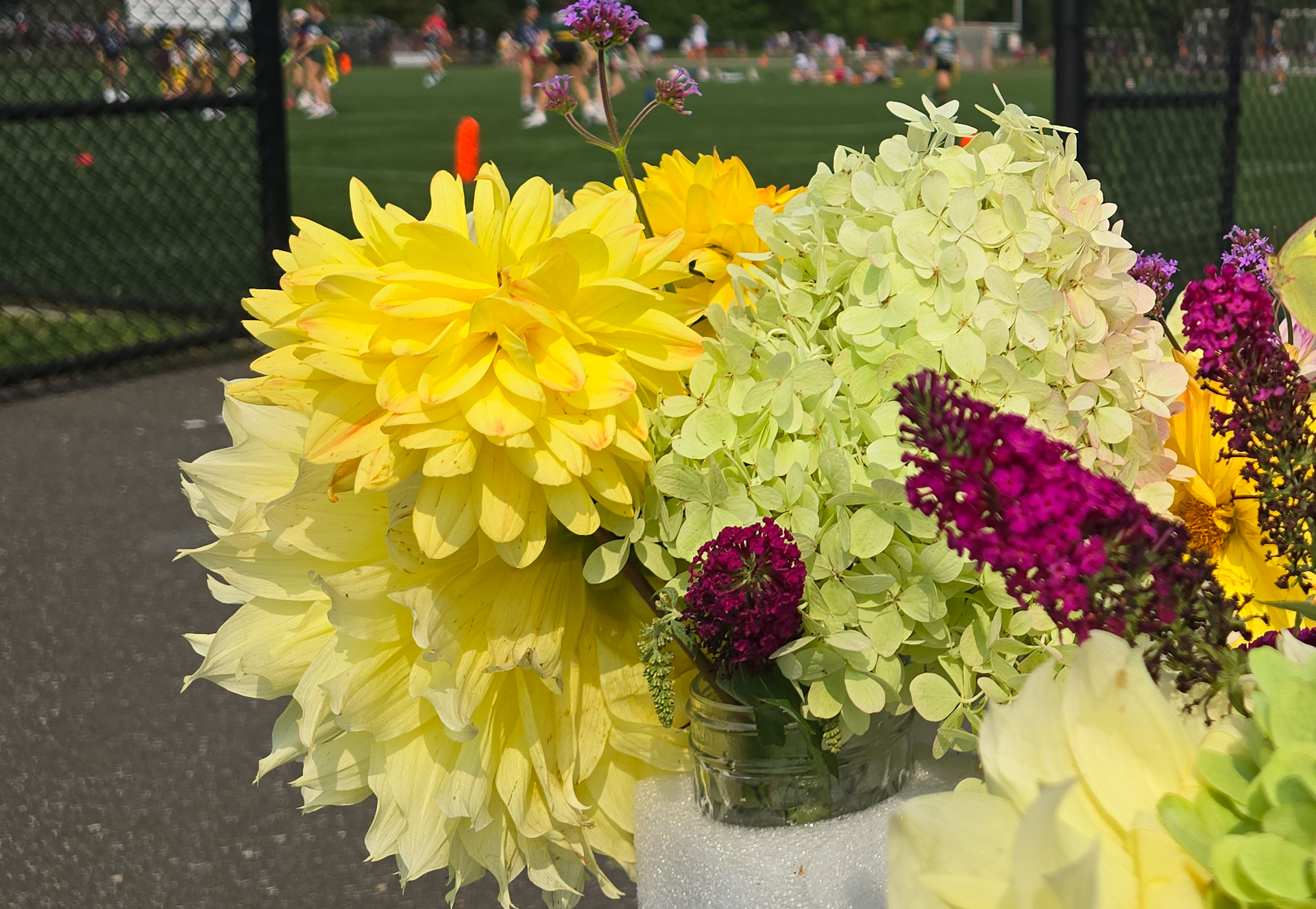 Fresh dahlia bouquets ready for delivery